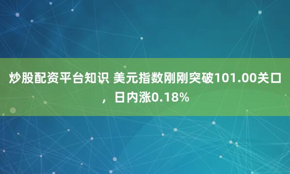 炒股配资平台知识 美元指数刚刚突破101.00关口，日内涨0.18%